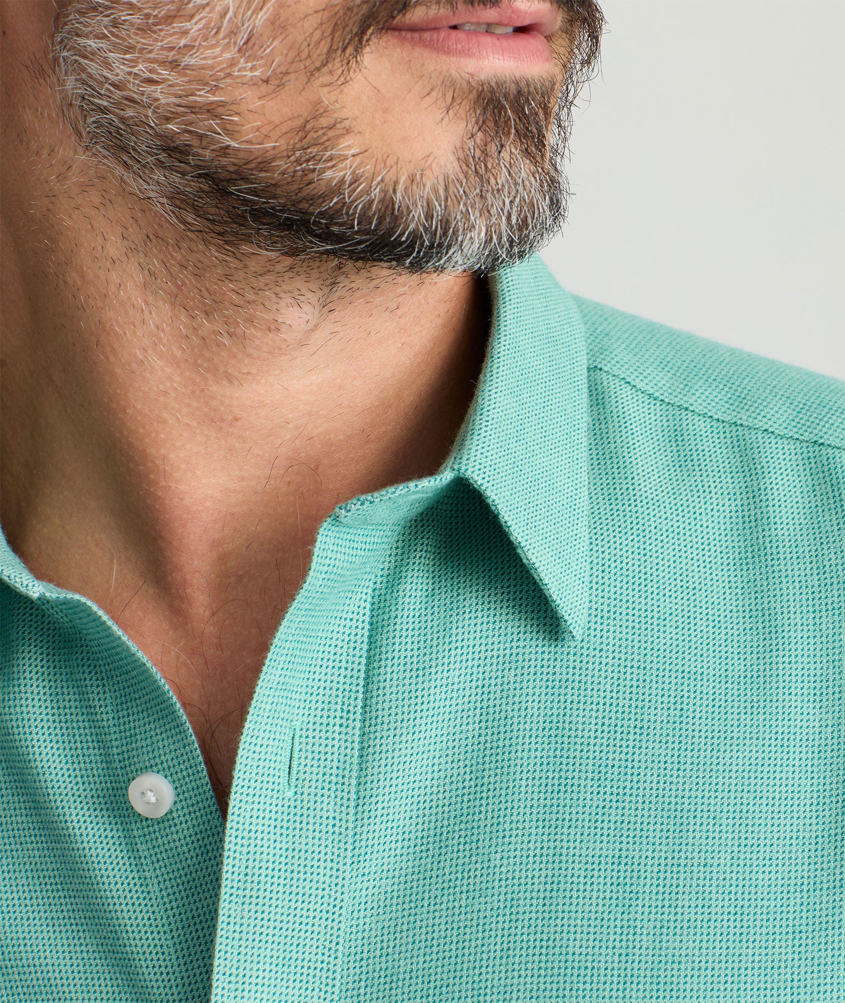 Wrinkle-Free Veneto Shirt