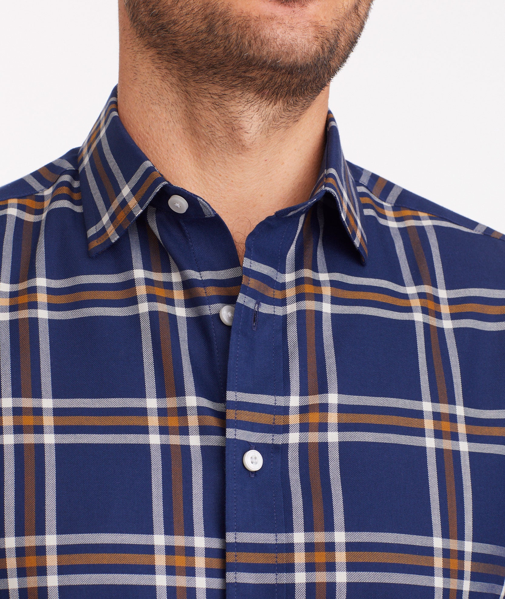 Wrinkle-Free Chiarlo Shirt